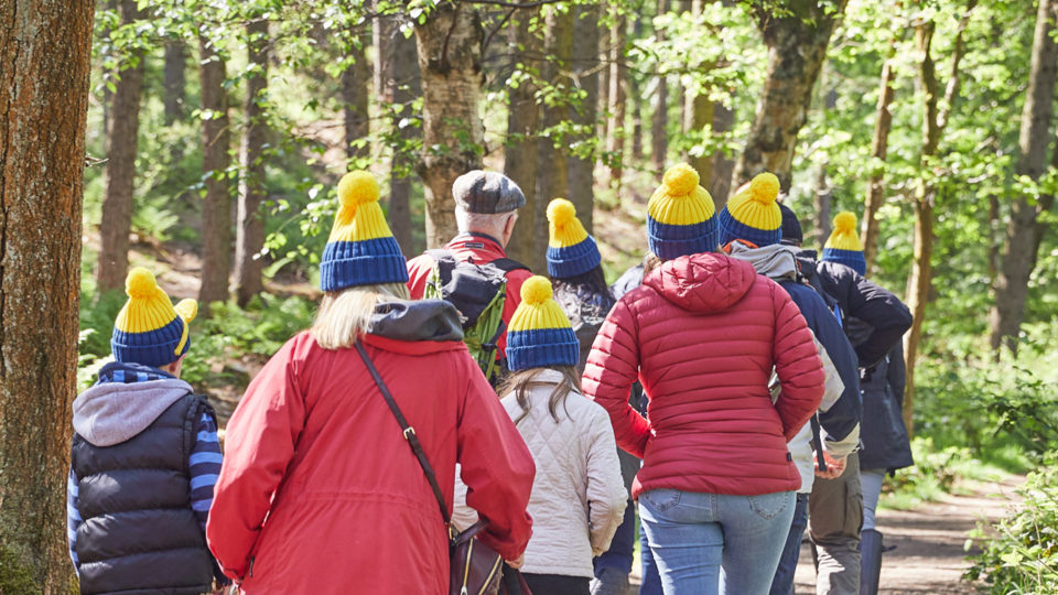Group of people wearing Pudsey ramble hats walking through some woods.