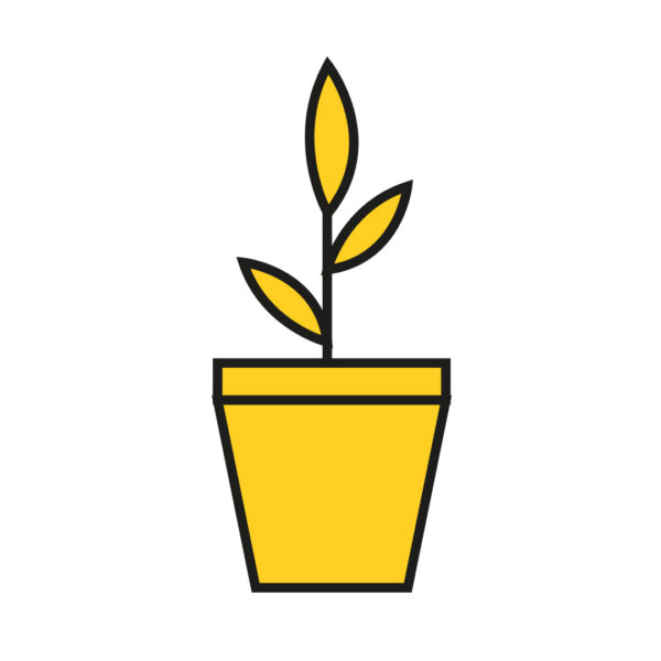 illustration of a plant pot