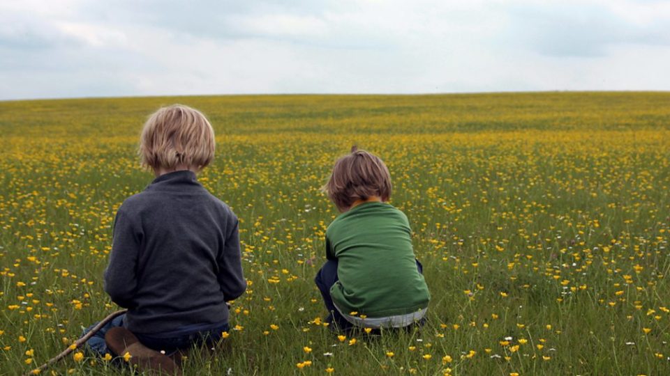 Two small boys sitting in a field of yellow flowers staring into the distance