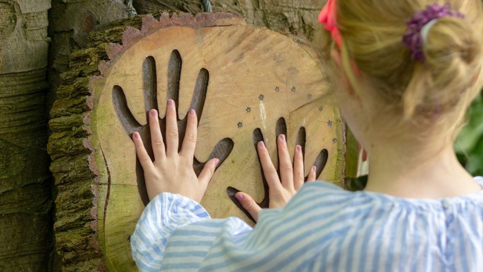 A young person with their hands inside a carved wooden hand print cut into a tree trunk