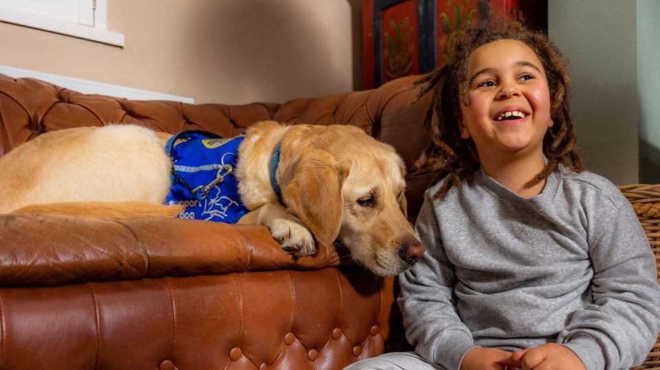 A support dog lying on a sofa next to a smiling young boy