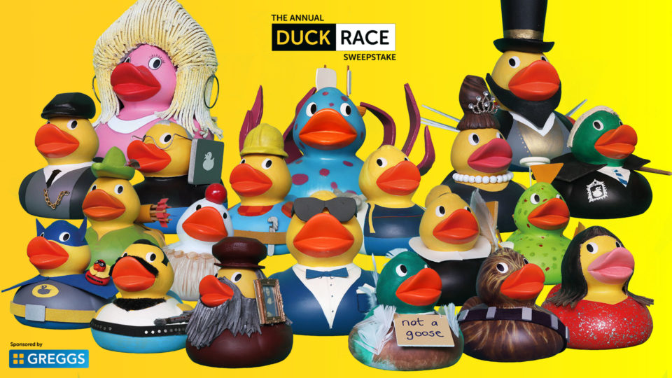 the various ducks participating in the Annual Duck Race