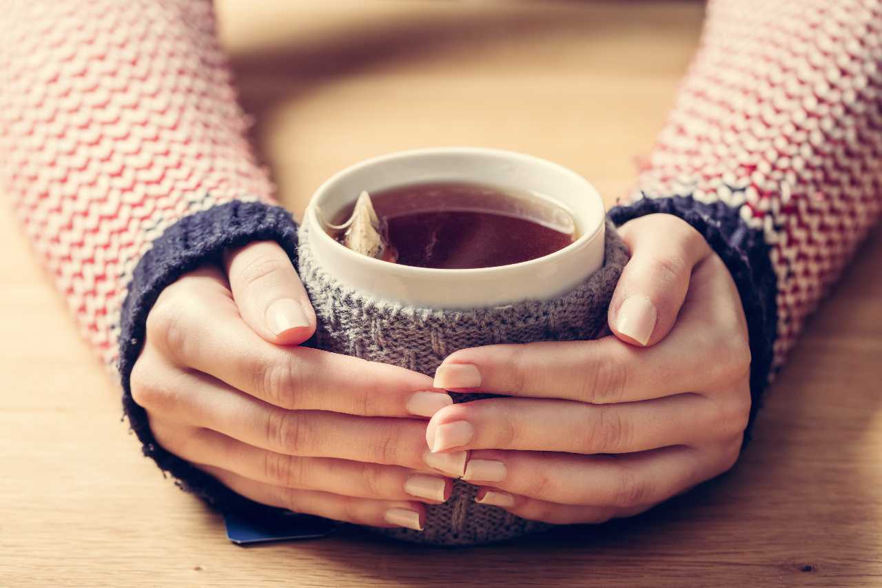 Hands holding a coffee mug