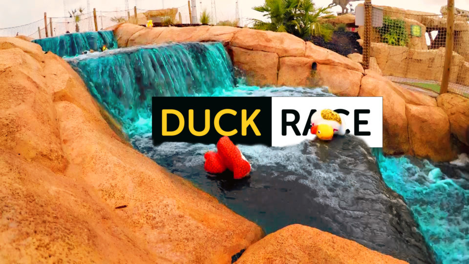 Rubber ducks falling down a waterfall and the title Duck Race
