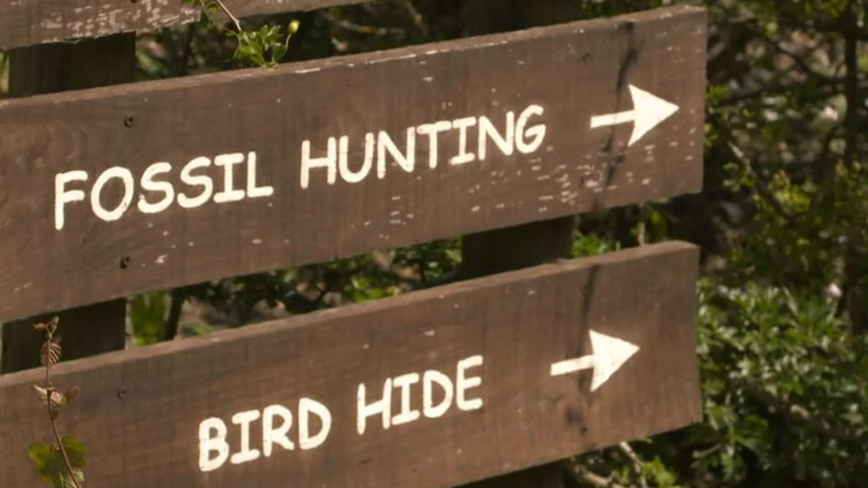 A sign in a nature reserve pointing the way to Fossil Hunting and a Bird Hide