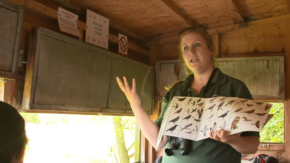 Somebody pond dipping, holding an insect above a tray with an identification guide next to it