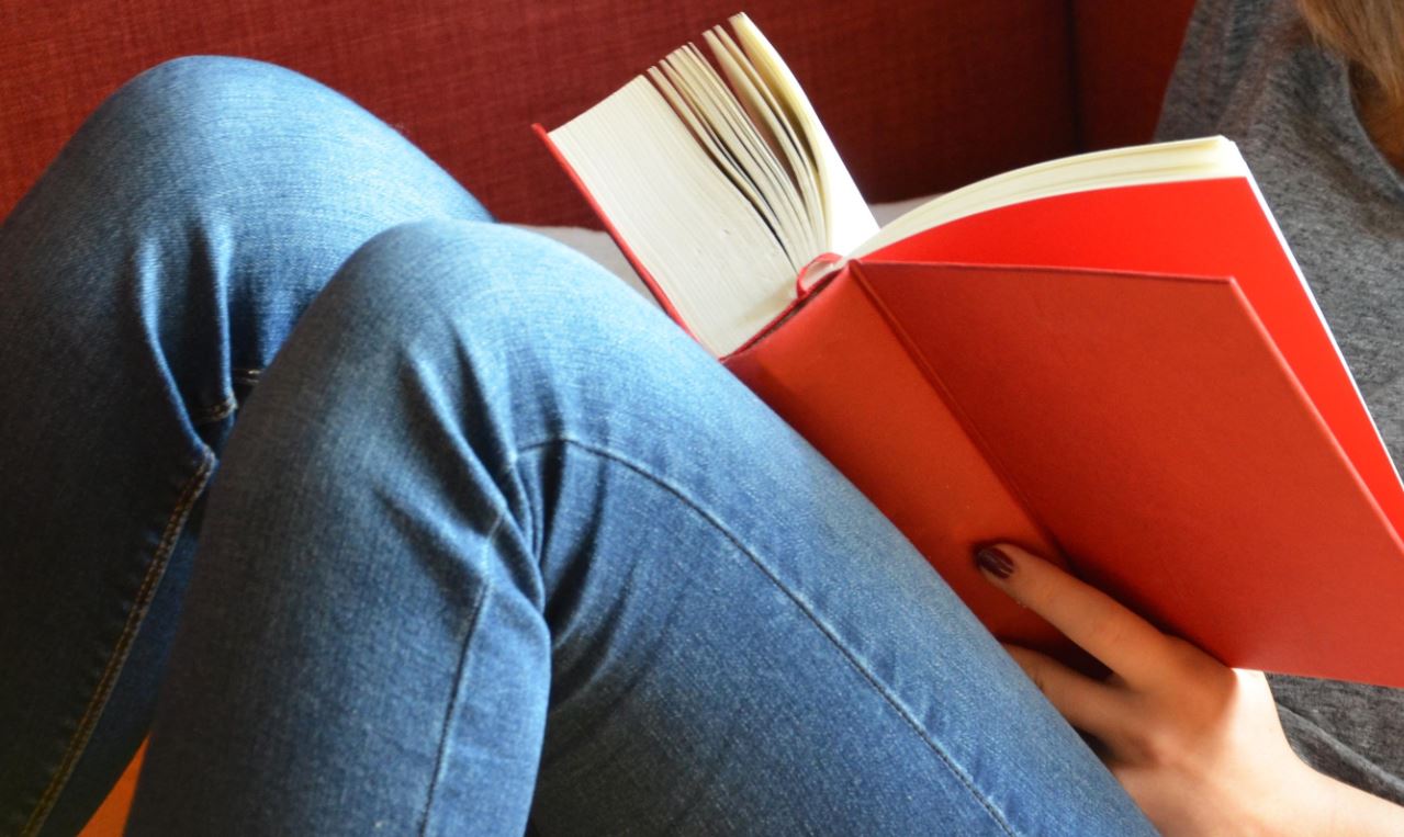 A person reading a book