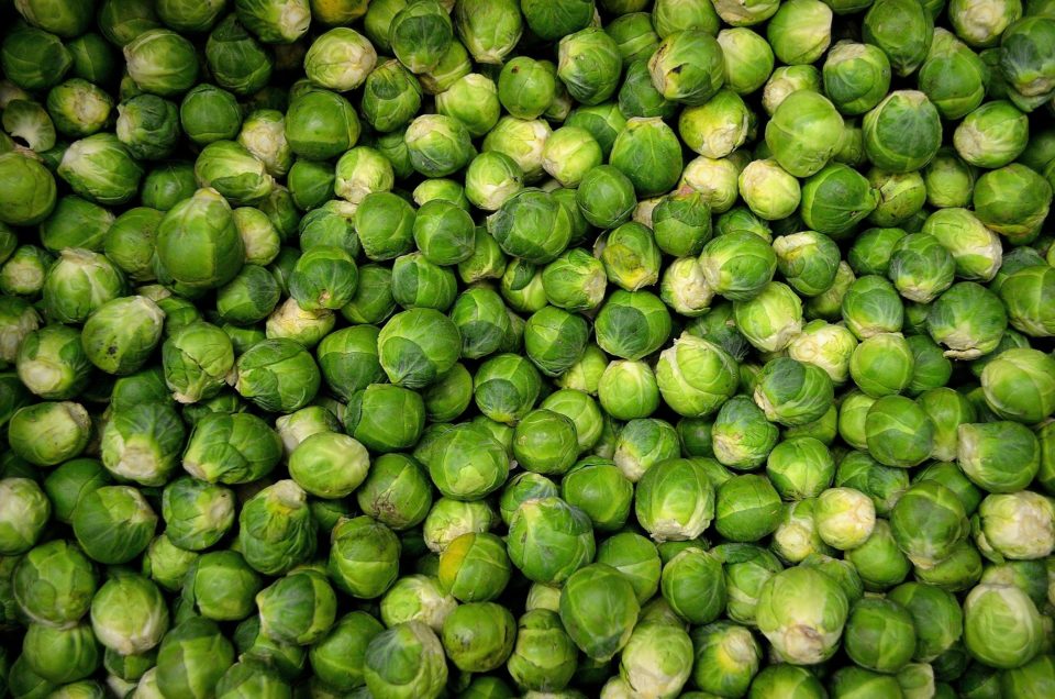Lots of sprouts