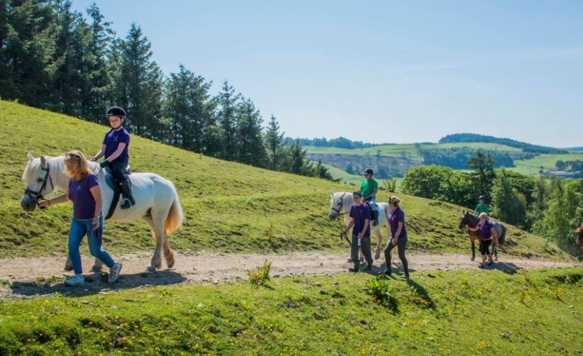 Young people ride horses across a hilly field, with a bright blue sky and trees in the background. They are led by project workers in purple shirts.