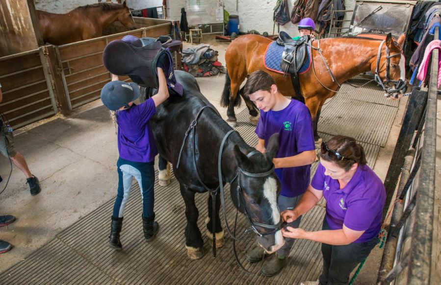 Young people from Stable Life learn how to look after a horse in a stable, one of them is lifting the saddle onto the horses back and another is being shown how to put on the bridle. They are all wearing purple tops.