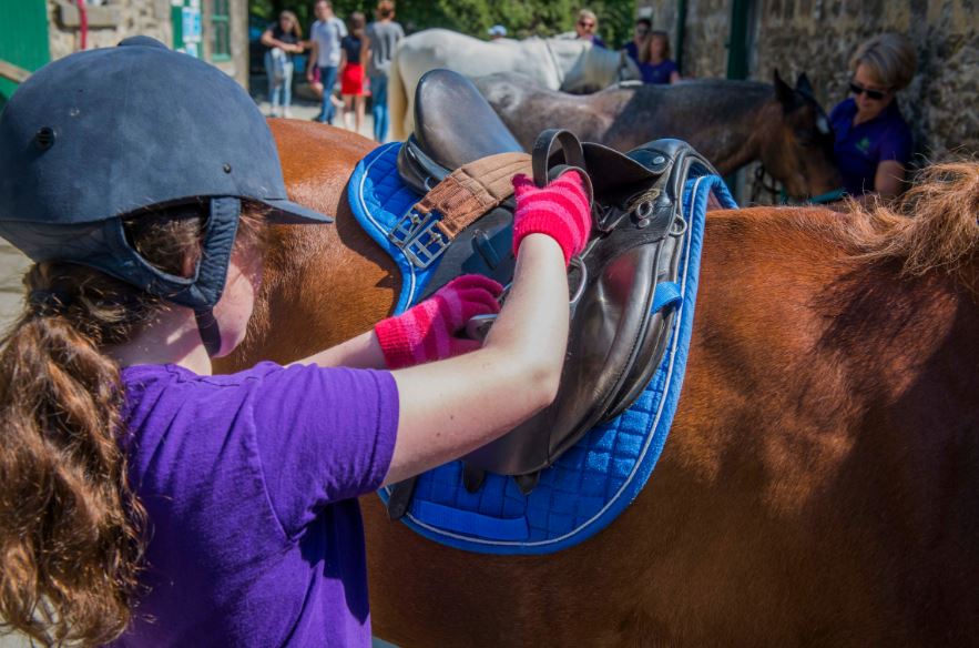 A young girl adjusts the saddle on a brown horse
