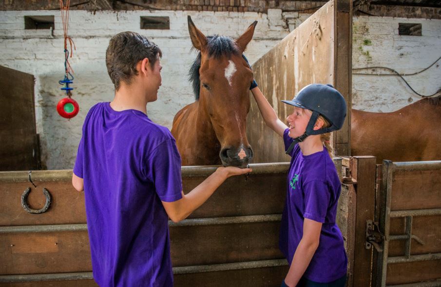 Two young people stroke a brown horse in a stable