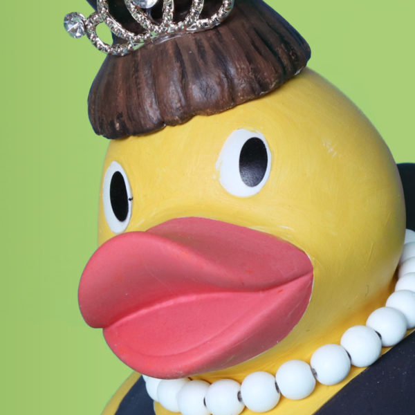 Audrey Peckburn Duck