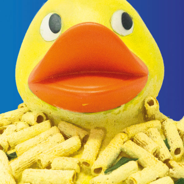 Quack & Cheese Duck