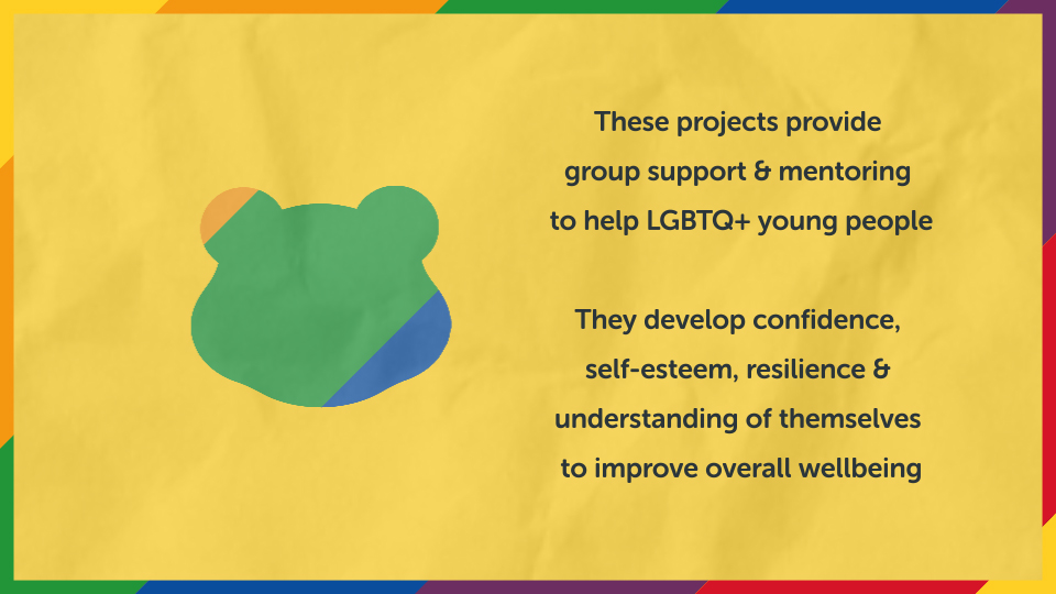 These projects provided group support and mentoring to help LGBTQ+ young people