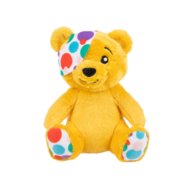 Small Pudsey Bear